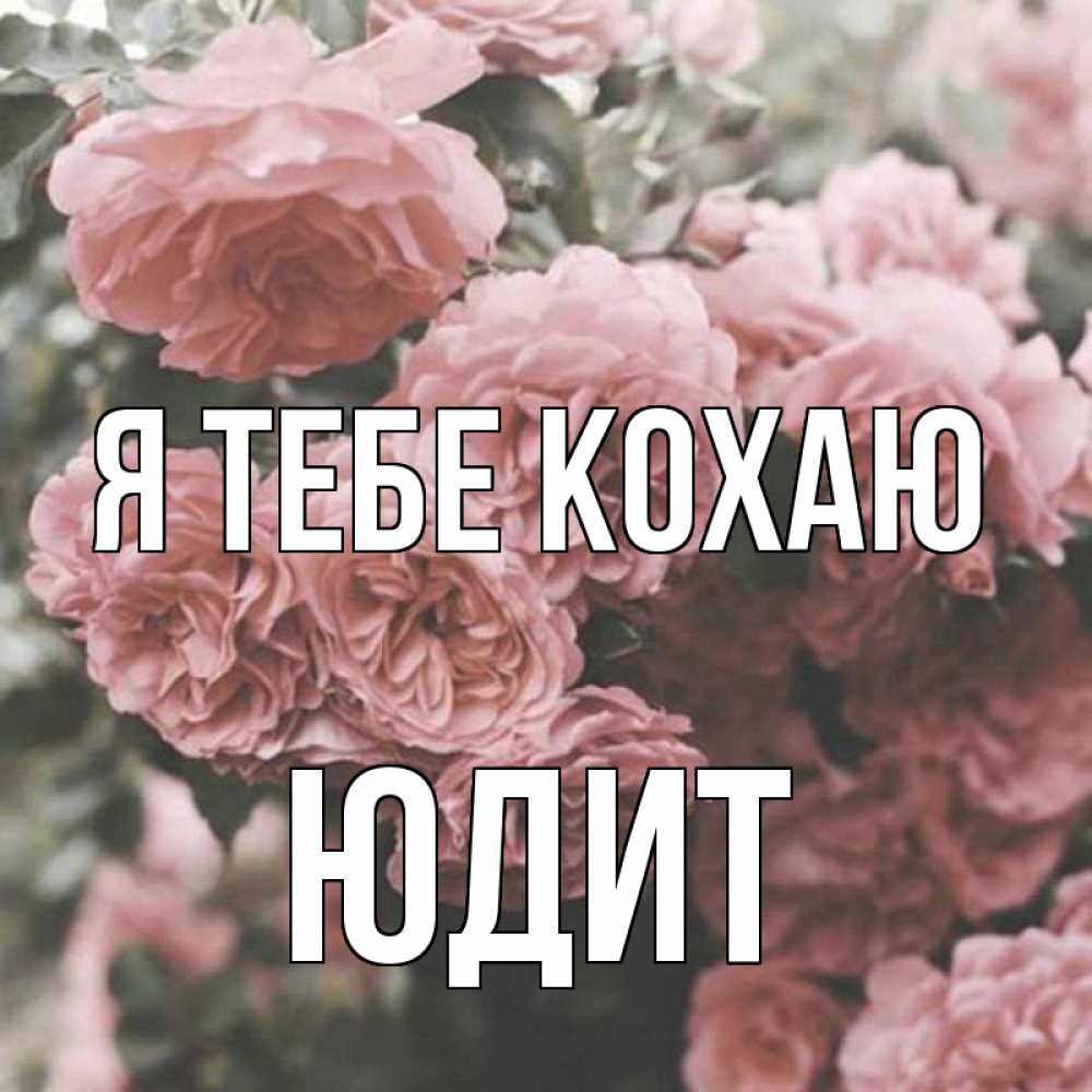 Открытка на каждый день з підписом, Юдит Я тебе кохаю розы 3 Прикольна листівка з побажанням онлайн скачати безкоштовно 