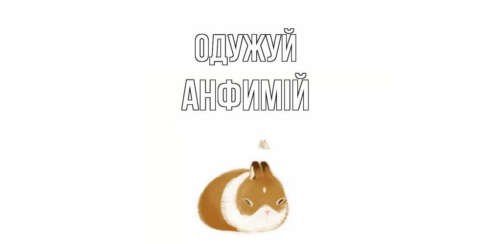 Открытка на каждый день з підписом, Анфимій Одужуй морская свинка на открытке с пожеланиями не болеть Прикольна листівка з побажанням онлайн скачати безкоштовно 