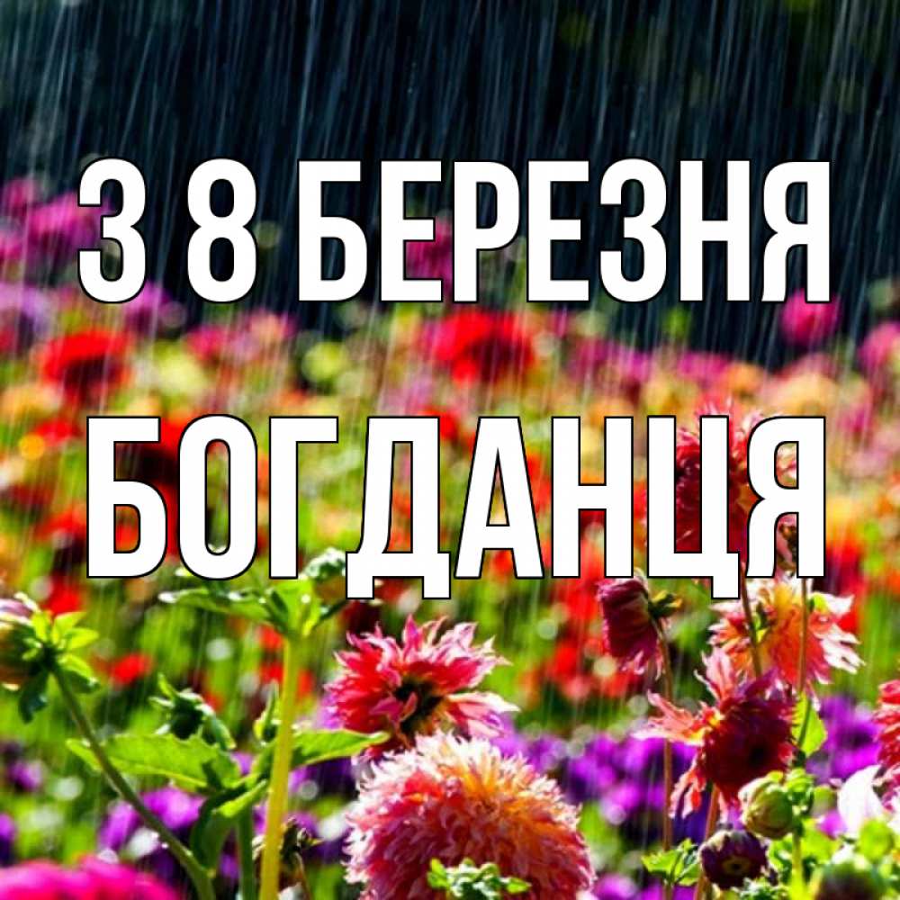 Открытка на каждый день з підписом, Богданця З 8 БЕРЕЗНЯ цветы под дождиком к международному женскому дню Прикольна листівка з побажанням онлайн скачати безкоштовно 