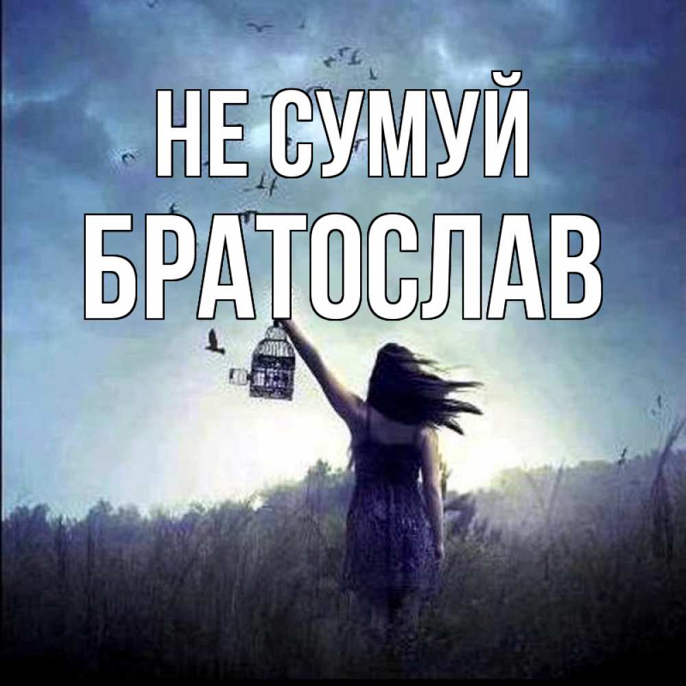Открытка на каждый день з підписом, Братослав Не сумуй на волю Прикольна листівка з побажанням онлайн скачати безкоштовно 