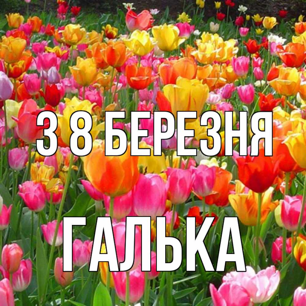 Открытка на каждый день з підписом, Галька З 8 БЕРЕЗНЯ на международный женский день Прикольна листівка з побажанням онлайн скачати безкоштовно 