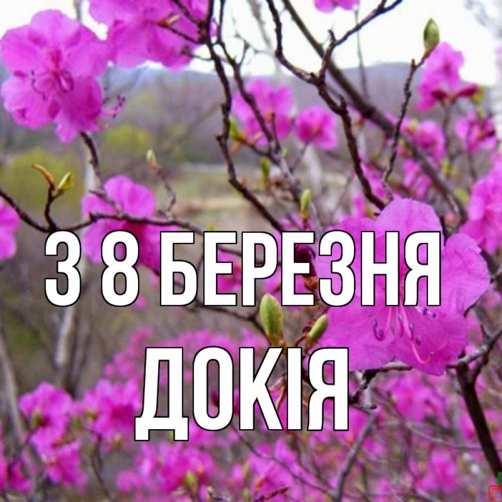 Открытка на каждый день з підписом, Докія З 8 БЕРЕЗНЯ международный женский день Прикольна листівка з побажанням онлайн скачати безкоштовно 