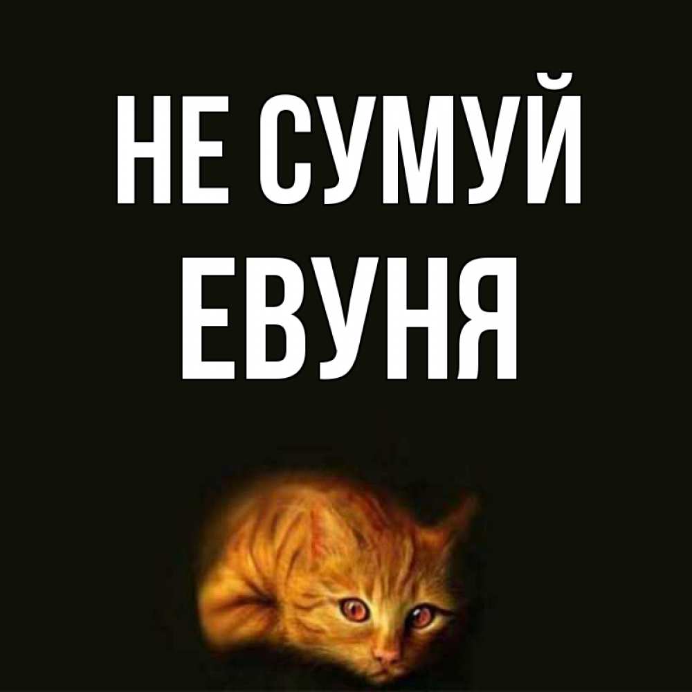 Открытка на каждый день з підписом, Евуня Не сумуй лежащий кот в темноте Прикольна листівка з побажанням онлайн скачати безкоштовно 