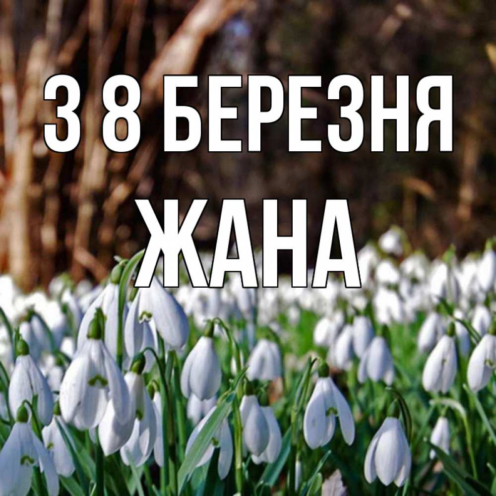 Открытка на каждый день з підписом, Жана З 8 БЕРЕЗНЯ с подснежниками 1 Прикольна листівка з побажанням онлайн скачати безкоштовно 