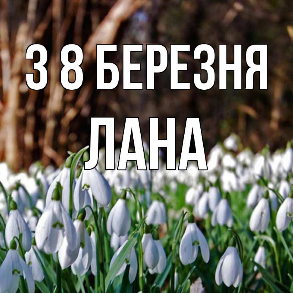 Открытка на каждый день з підписом, Лана З 8 БЕРЕЗНЯ с подснежниками 1 Прикольна листівка з побажанням онлайн скачати безкоштовно 