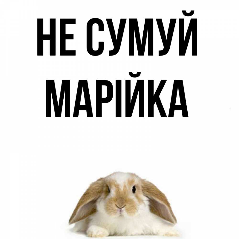 Открытка на каждый день з підписом, Марійка Не сумуй коричнево белый заяц с большими ушками Прикольна листівка з побажанням онлайн скачати безкоштовно 
