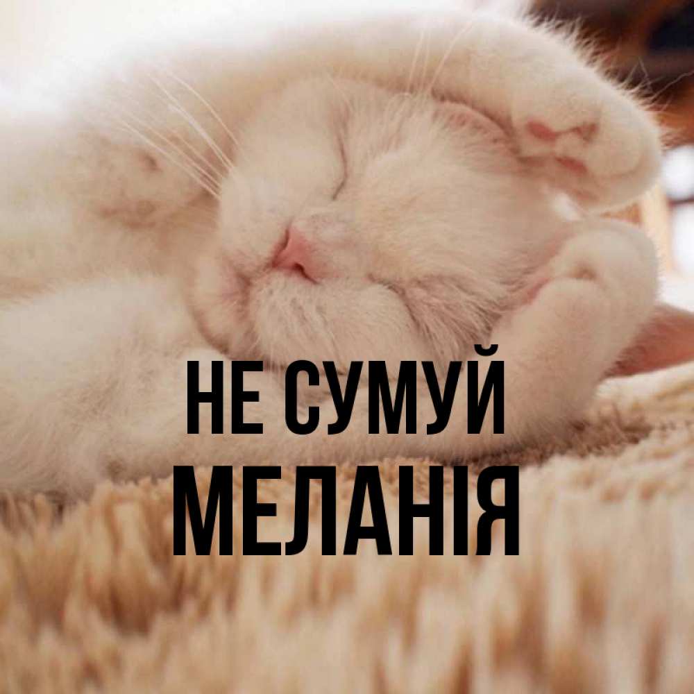 Открытка на каждый день з підписом, Меланія Не сумуй Котенок спит Прикольна листівка з побажанням онлайн скачати безкоштовно 