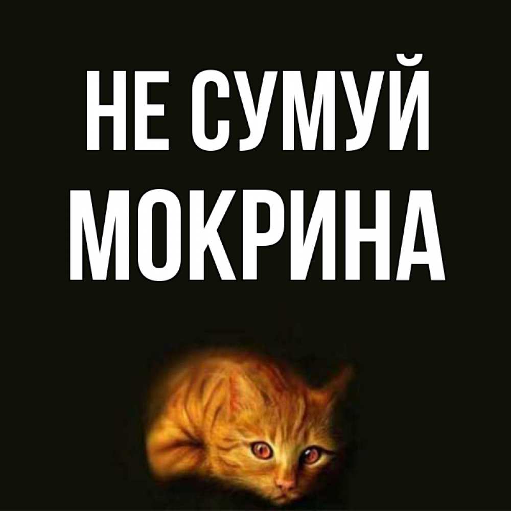 Открытка на каждый день з підписом, Мокрина Не сумуй лежащий кот в темноте Прикольна листівка з побажанням онлайн скачати безкоштовно 