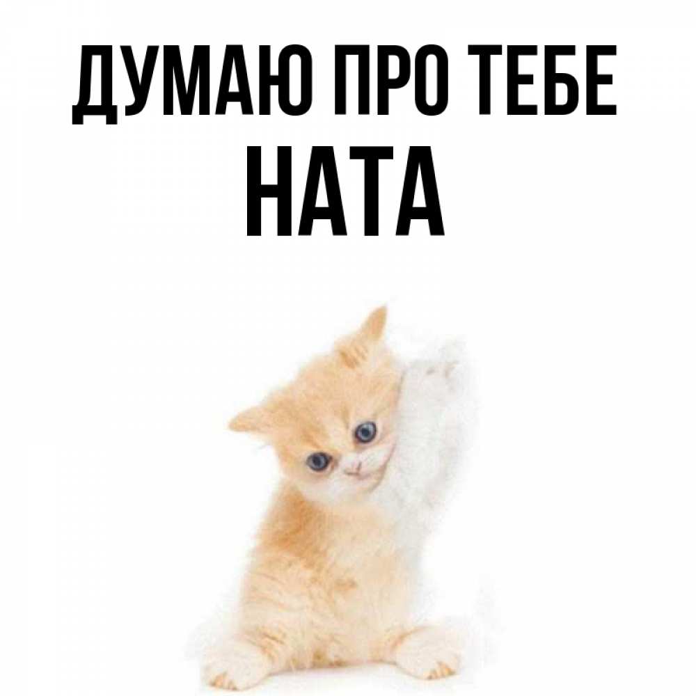 Открытка на каждый день з підписом, Ната Думаю про тебе зверушки и милота Прикольна листівка з побажанням онлайн скачати безкоштовно 