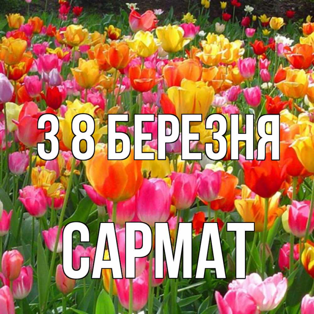 Открытка на каждый день з підписом, Сармат З 8 БЕРЕЗНЯ на международный женский день Прикольна листівка з побажанням онлайн скачати безкоштовно 