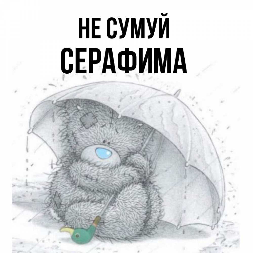 Открытка на каждый день з підписом, Серафима Не сумуй спасите мишку Тедди Прикольна листівка з побажанням онлайн скачати безкоштовно 