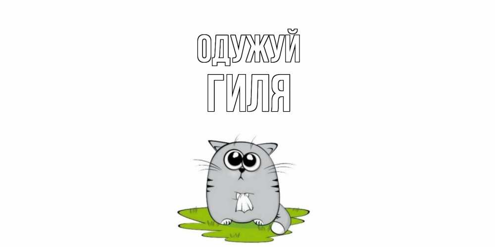 Открытка на каждый день з підписом, Гиля Одужуй кот и открытки про выздоровление Прикольна листівка з побажанням онлайн скачати безкоштовно 