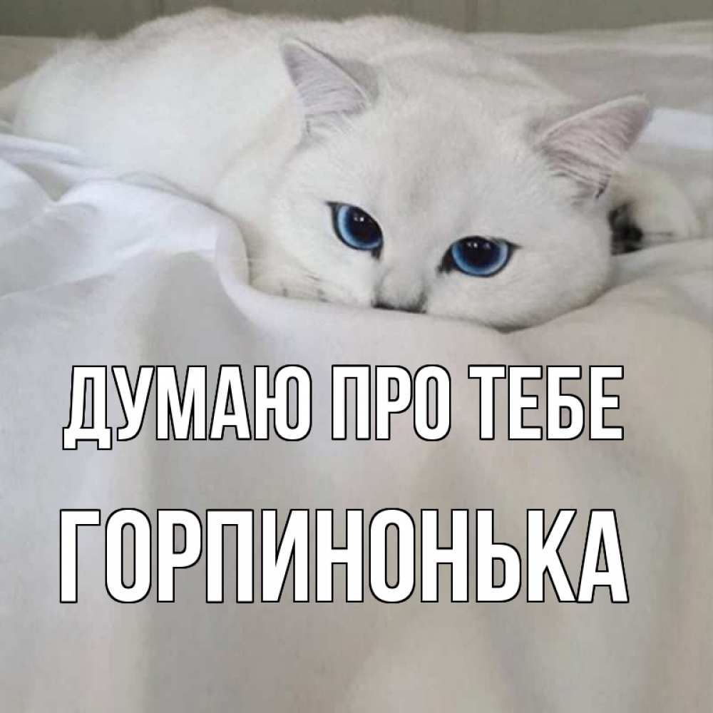 Открытка на каждый день з підписом, Горпинонька Думаю про тебе я очень по тебе скучаю и тоскую Прикольна листівка з побажанням онлайн скачати безкоштовно 