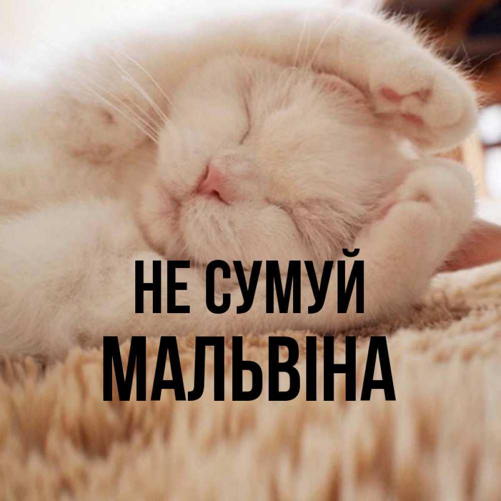 Открытка на каждый день з підписом, Мальвіна Не сумуй Котенок спит Прикольна листівка з побажанням онлайн скачати безкоштовно 