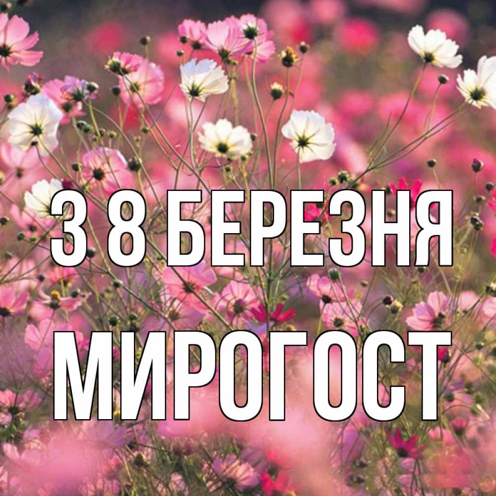 Открытка на каждый день з підписом, Мирогост З 8 БЕРЕЗНЯ красиво 1 Прикольна листівка з побажанням онлайн скачати безкоштовно 