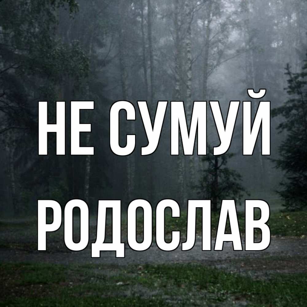 Открытка на каждый день з підписом, Родослав Не сумуй осень Прикольна листівка з побажанням онлайн скачати безкоштовно 
