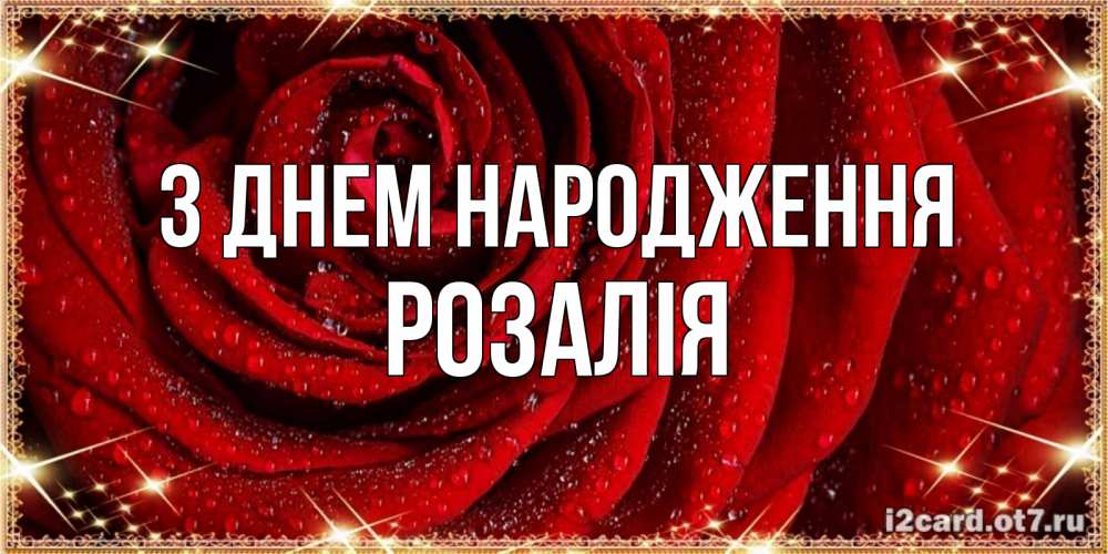 Открытка на каждый день з підписом, Розалія З Днем народження роса на розе блестящая в лучах солнца Прикольна листівка з побажанням онлайн скачати безкоштовно 