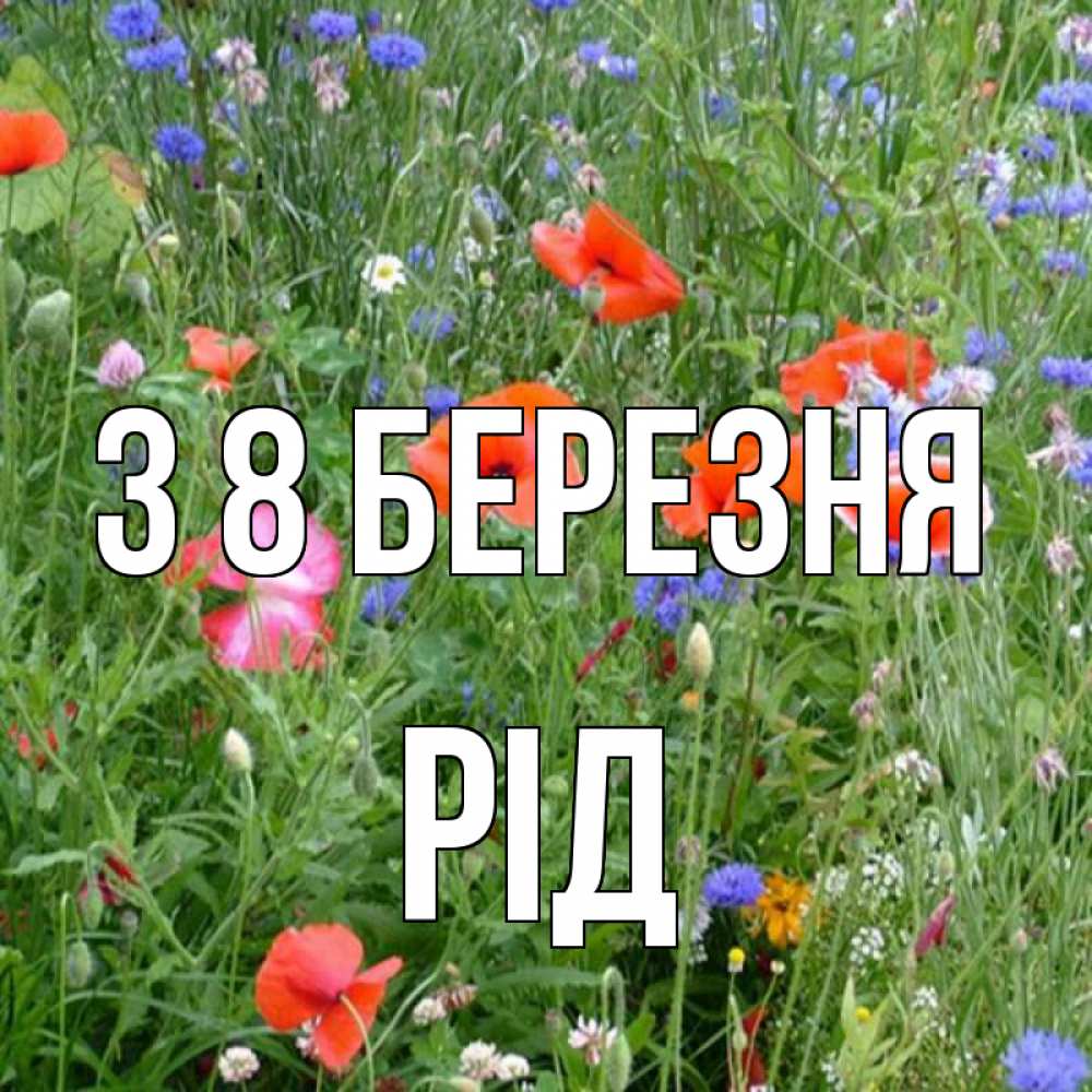 Открытка на каждый день з підписом, Рід З 8 БЕРЕЗНЯ международный женский день 4 Прикольна листівка з побажанням онлайн скачати безкоштовно 