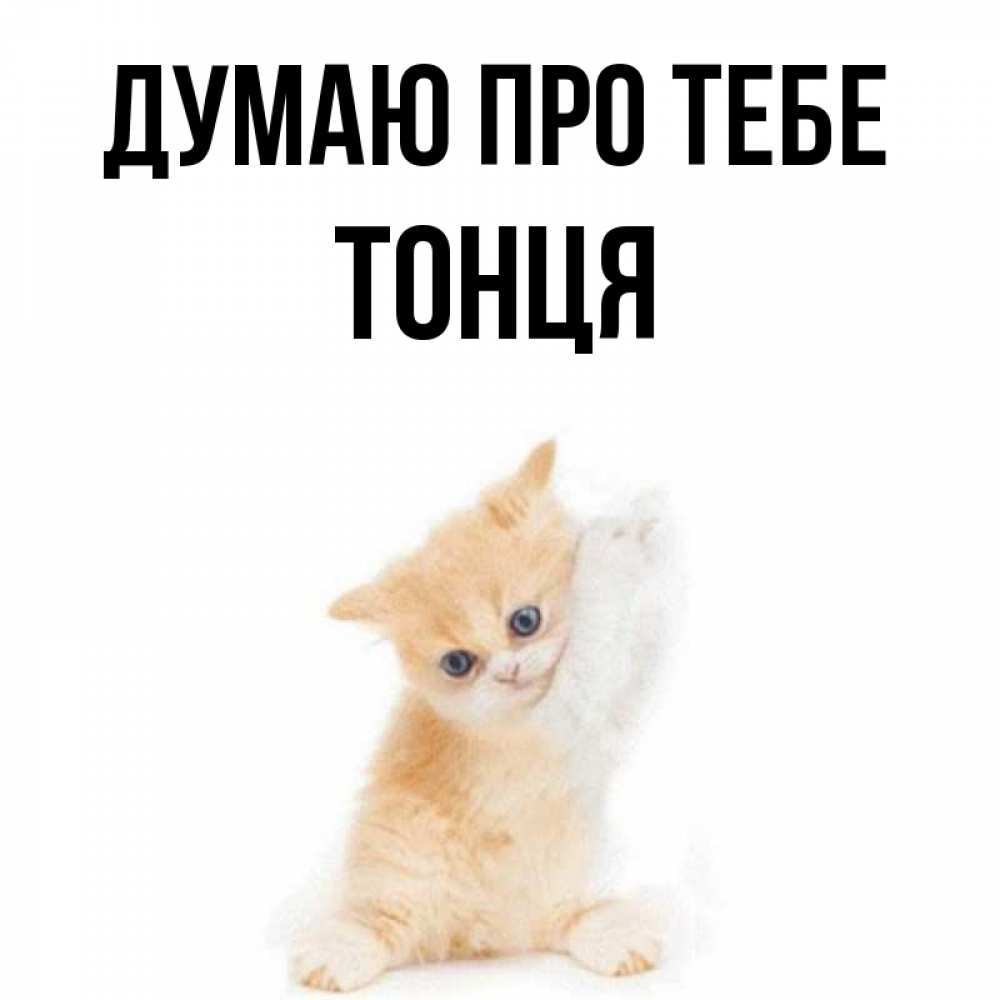 Открытка на каждый день з підписом, Тонця Думаю про тебе зверушки и милота Прикольна листівка з побажанням онлайн скачати безкоштовно 