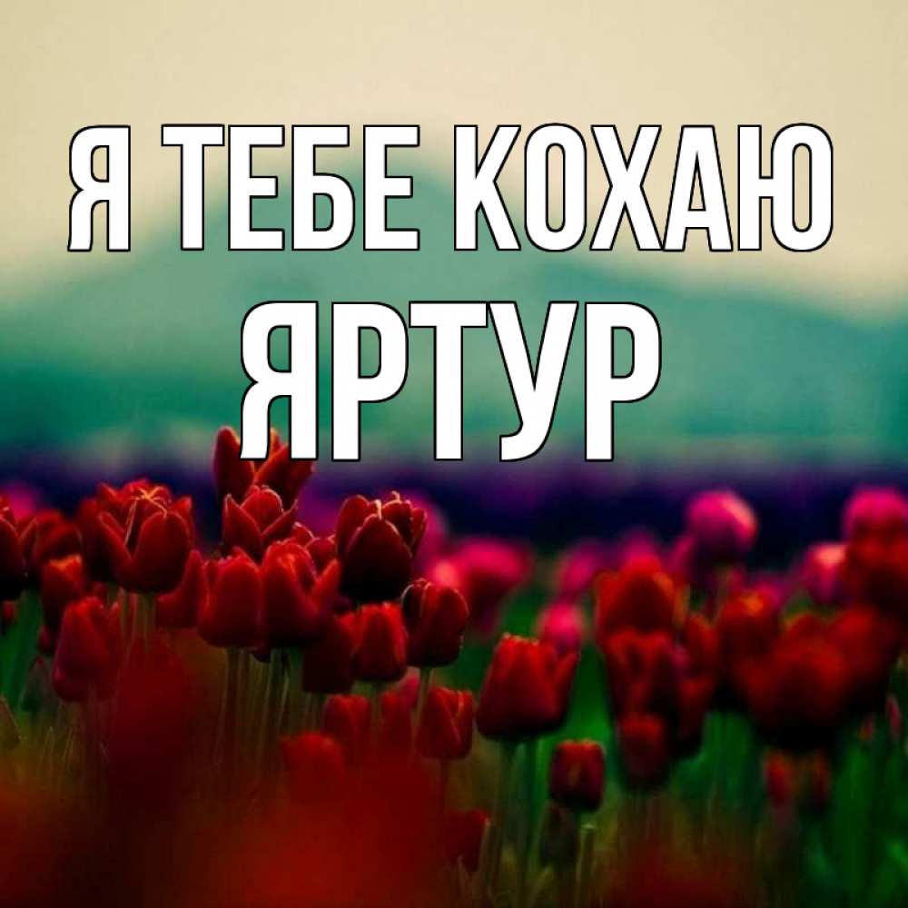 Открытка на каждый день з підписом, Яртур Я тебе кохаю тюльпаны 4 Прикольна листівка з побажанням онлайн скачати безкоштовно 
