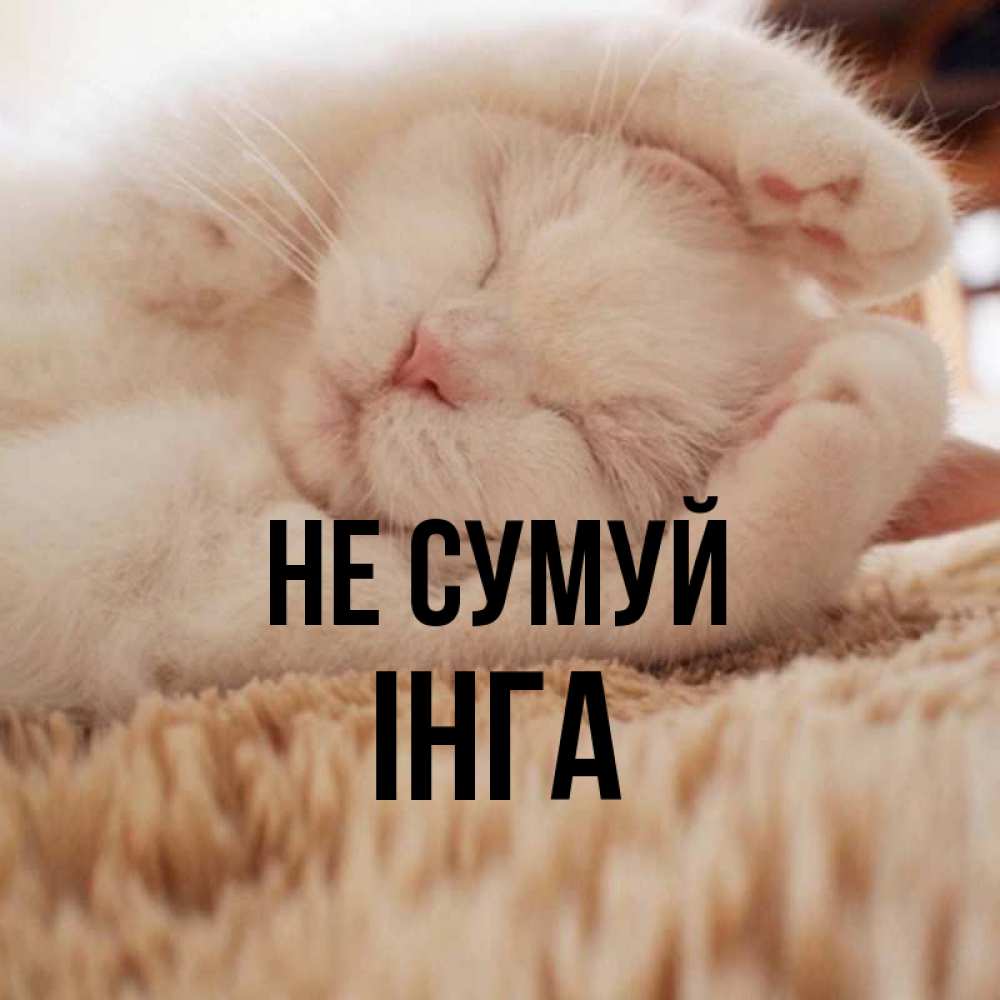 Открытка на каждый день з підписом, Інга Не сумуй Котенок спит Прикольна листівка з побажанням онлайн скачати безкоштовно 