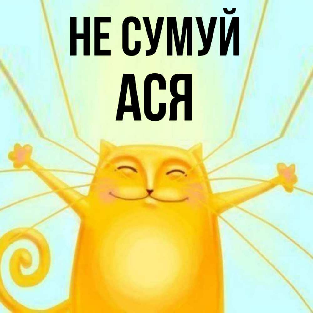 Открытка на каждый день з підписом, Ася Не сумуй обнимашки усатые Прикольна листівка з побажанням онлайн скачати безкоштовно 
