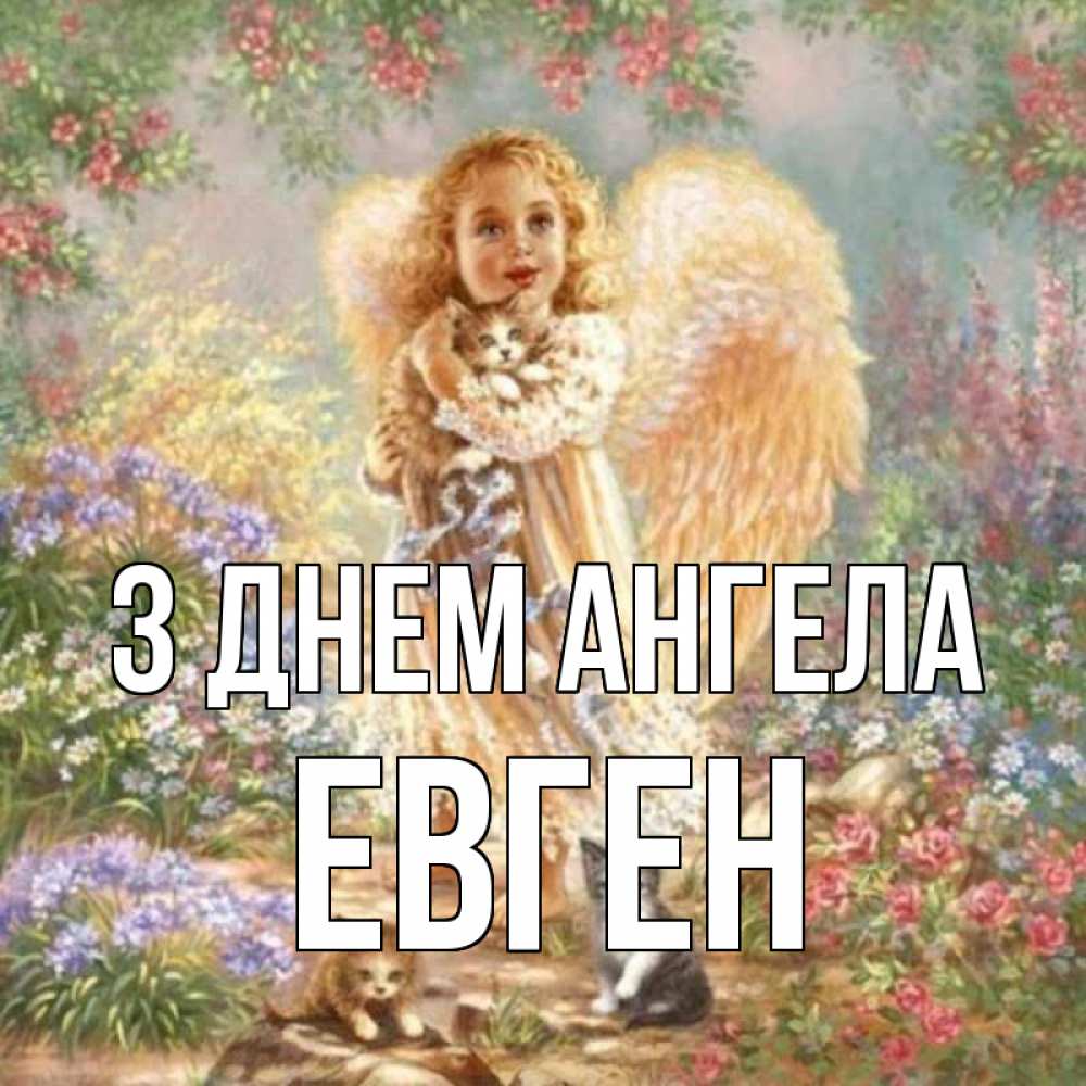 Открытка на каждый день з підписом, Евген З Днем ангела держит котенка Прикольна листівка з побажанням онлайн скачати безкоштовно 