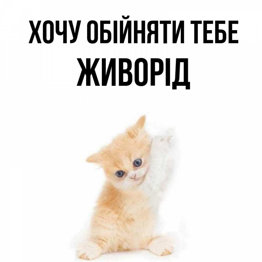 Открытка на каждый день з підписом, Живорід Хочу обійняти тебе я хочу очень скорее обнимаешек Прикольна листівка з побажанням онлайн скачати безкоштовно 