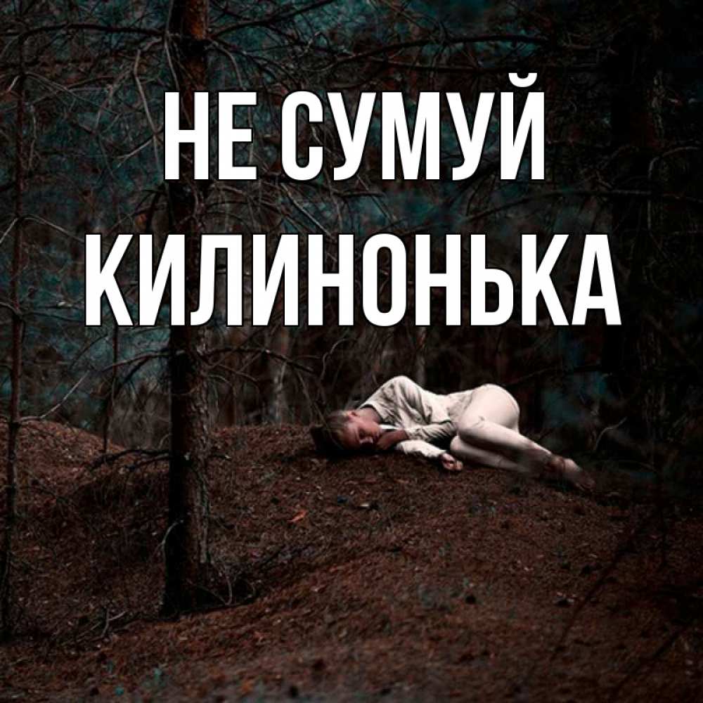 Открытка на каждый день з підписом, Килинонька Не сумуй лес Прикольна листівка з побажанням онлайн скачати безкоштовно 