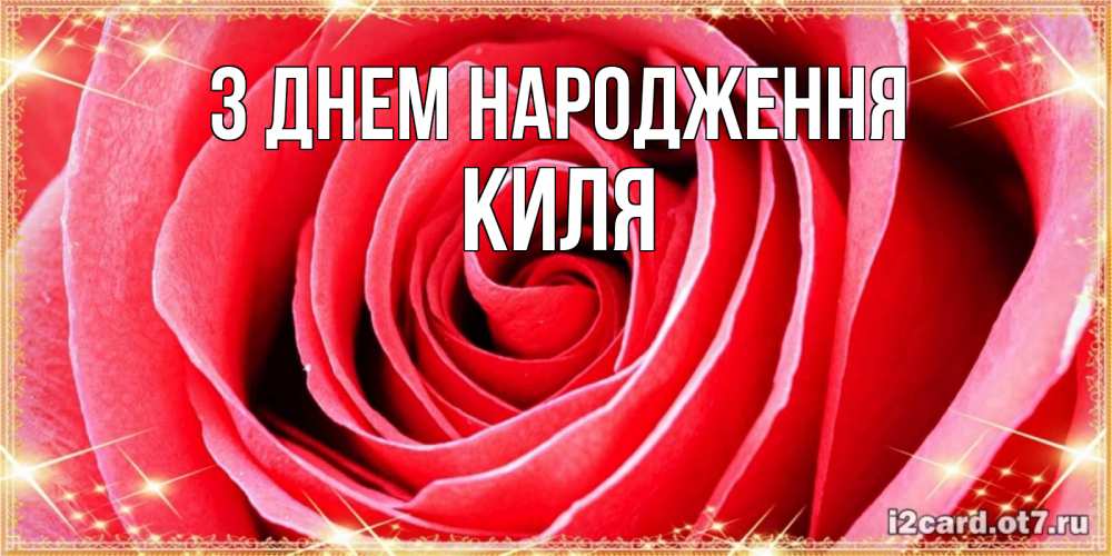 Открытка на каждый день з підписом, Киля З Днем народження розовая роза очень крупный бутон Прикольна листівка з побажанням онлайн скачати безкоштовно 