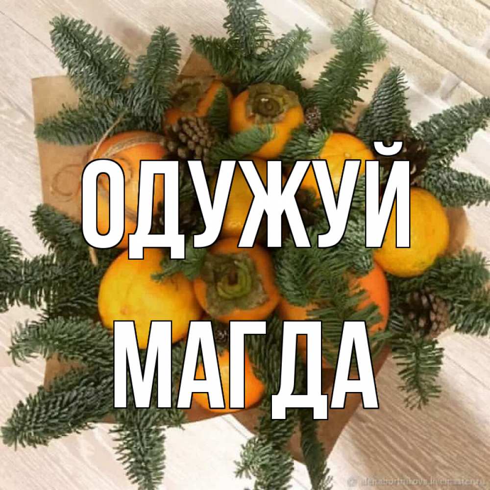 Открытка на каждый день з підписом, Магда Одужуй апельсины и хурьма Прикольна листівка з побажанням онлайн скачати безкоштовно 