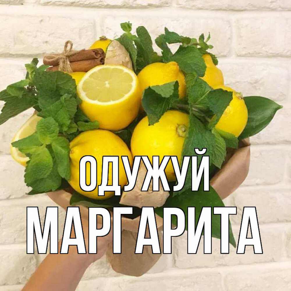 Открытка на каждый день з підписом, Маргарита Одужуй витамины Прикольна листівка з побажанням онлайн скачати безкоштовно 