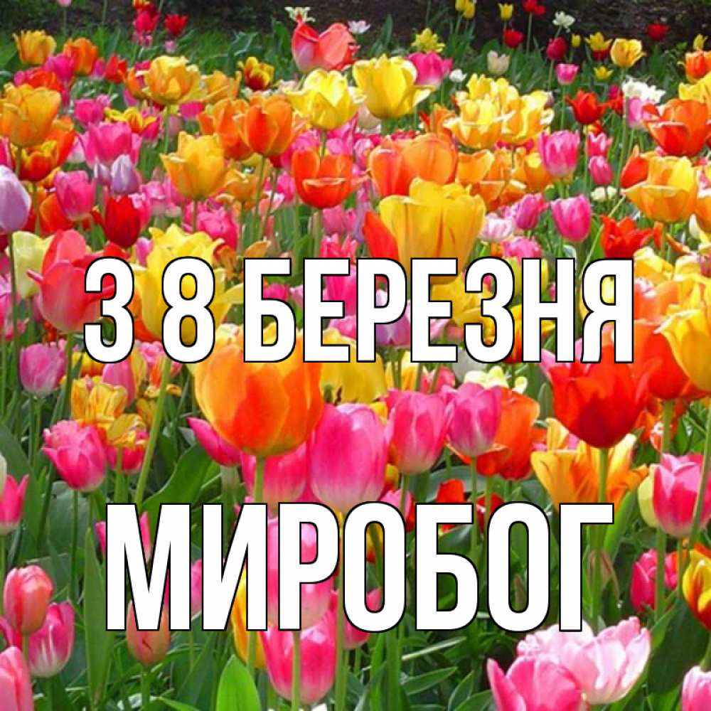 Открытка на каждый день з підписом, Миробог З 8 БЕРЕЗНЯ на международный женский день Прикольна листівка з побажанням онлайн скачати безкоштовно 