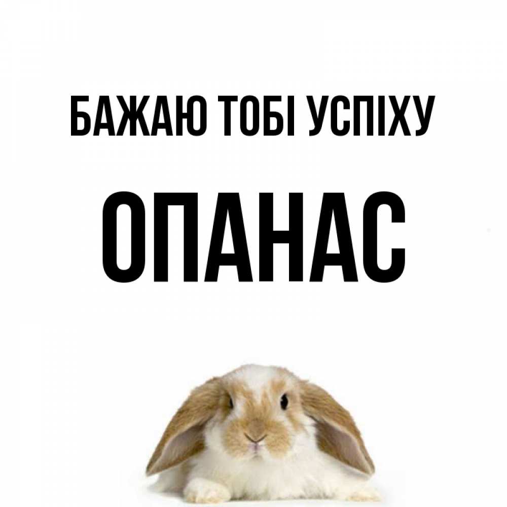 Открытка на каждый день з підписом, Опанас Бажаю тобі успіху открытки с произвольным текстом который можно вставить в открытку и создать ее самостоятельно бесплатно онлайн Прикольна листівка з побажанням онлайн скачати безкоштовно 