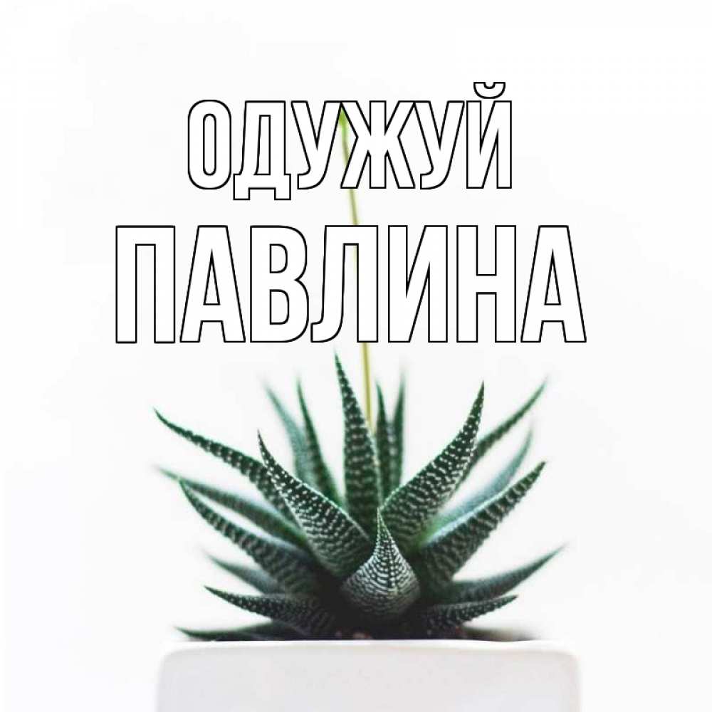 Открытка на каждый день з підписом, Павлина Одужуй короче это непонятная колючка Прикольна листівка з побажанням онлайн скачати безкоштовно 