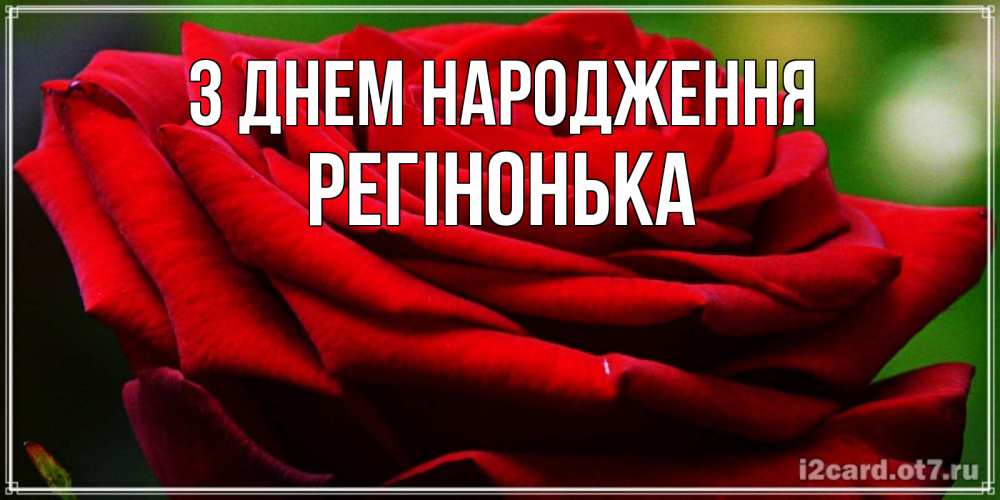 Открытка на каждый день з підписом, Регінонька З Днем народження розочка очень красивая Прикольна листівка з побажанням онлайн скачати безкоштовно 