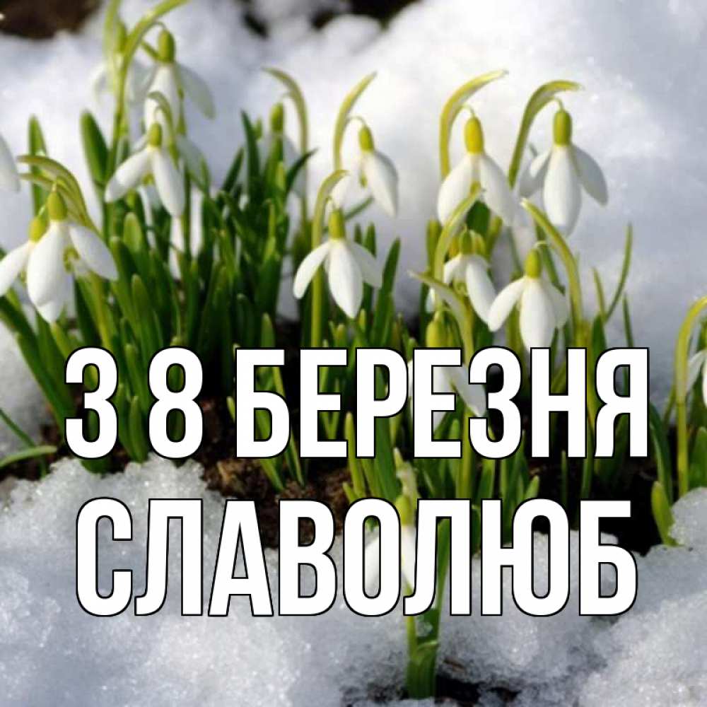 Открытка на каждый день з підписом, Славолюб З 8 БЕРЕЗНЯ цветы весенние Прикольна листівка з побажанням онлайн скачати безкоштовно 