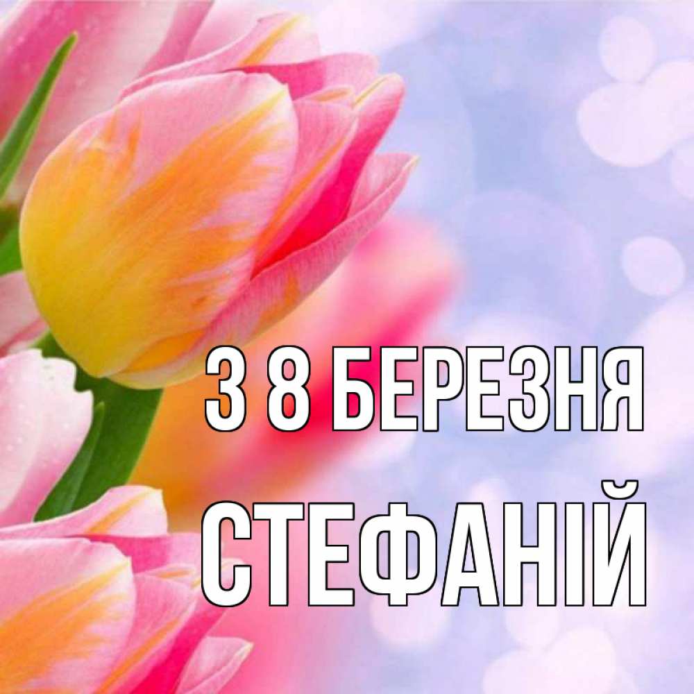Открытка на каждый день з підписом, Стефаній З 8 БЕРЕЗНЯ тюльпаны 2 Прикольна листівка з побажанням онлайн скачати безкоштовно 