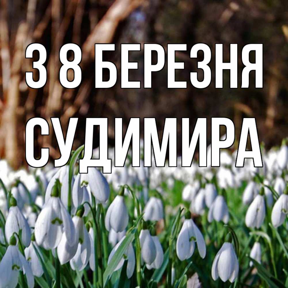 Открытка на каждый день з підписом, Судимира З 8 БЕРЕЗНЯ с подснежниками 1 Прикольна листівка з побажанням онлайн скачати безкоштовно 