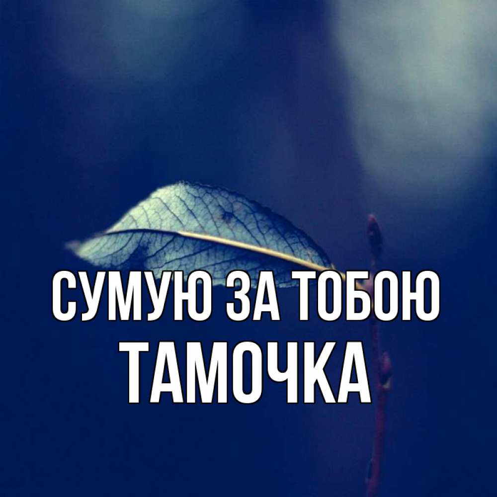 Открытка на каждый день з підписом, Тамочка Сумую за тобою одна ветка 1 Прикольна листівка з побажанням онлайн скачати безкоштовно 