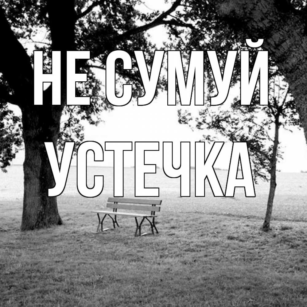 Открытка на каждый день з підписом, Устечка Не сумуй мощное дерево Прикольна листівка з побажанням онлайн скачати безкоштовно 