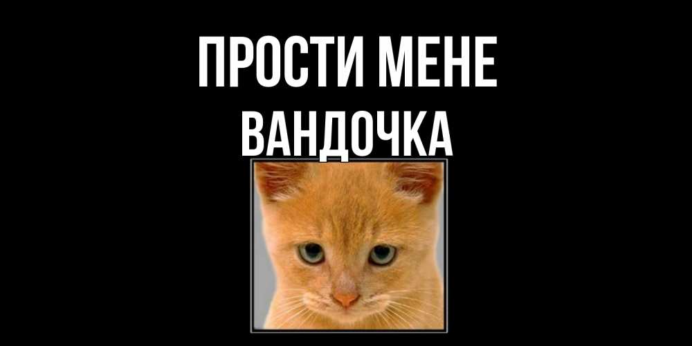 Открытка на каждый день з підписом, Вандочка Прости мене рыжий грустный кот просит прощения Прикольна листівка з побажанням онлайн скачати безкоштовно 