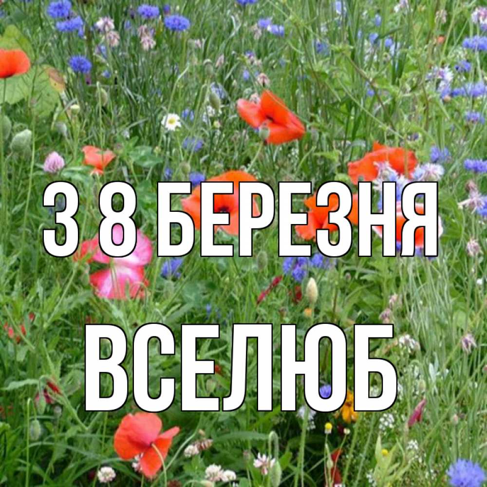 Открытка на каждый день з підписом, Вселюб З 8 БЕРЕЗНЯ международный женский день 4 Прикольна листівка з побажанням онлайн скачати безкоштовно 