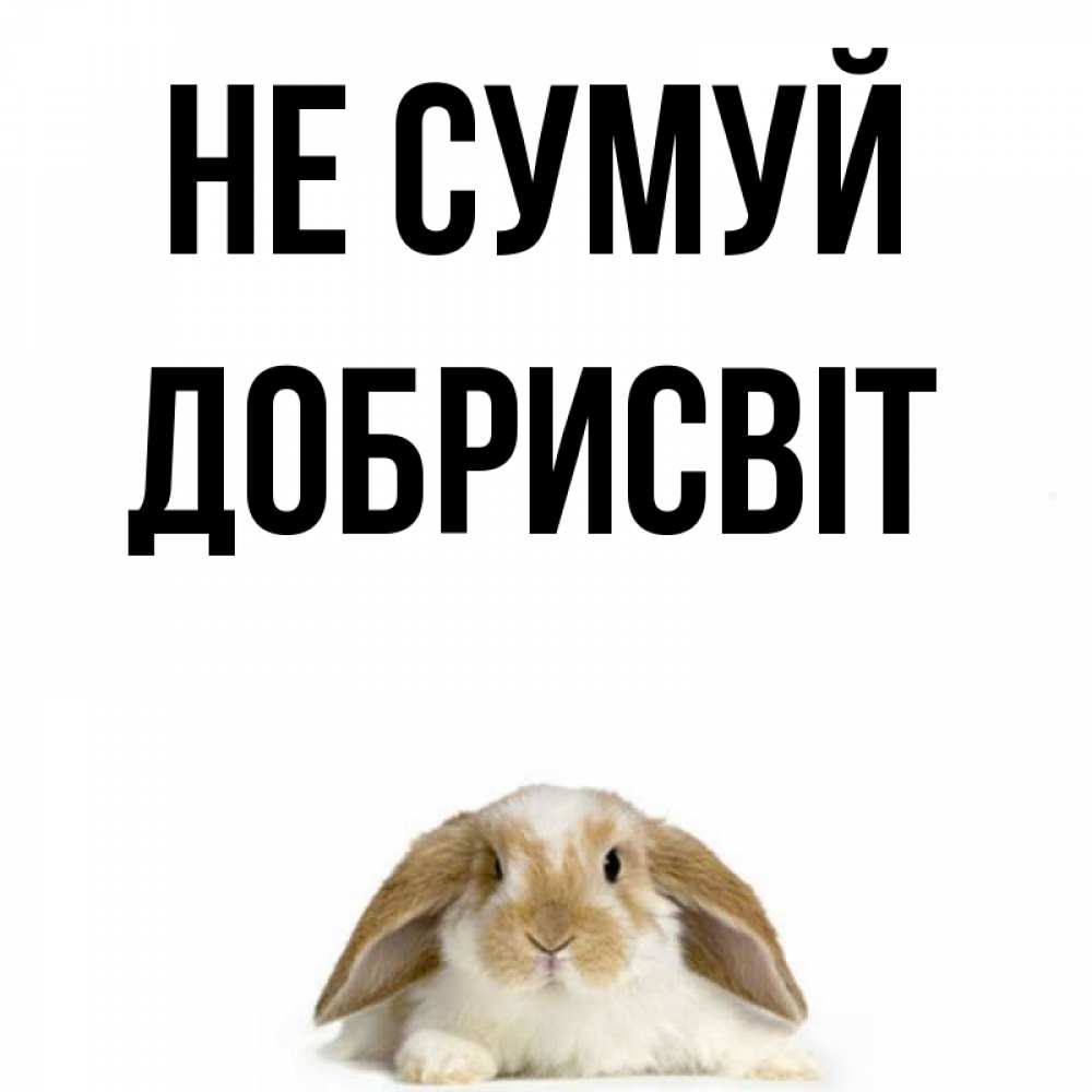 Открытка на каждый день з підписом, Добрисвіт Не сумуй коричнево белый заяц с большими ушками Прикольна листівка з побажанням онлайн скачати безкоштовно 