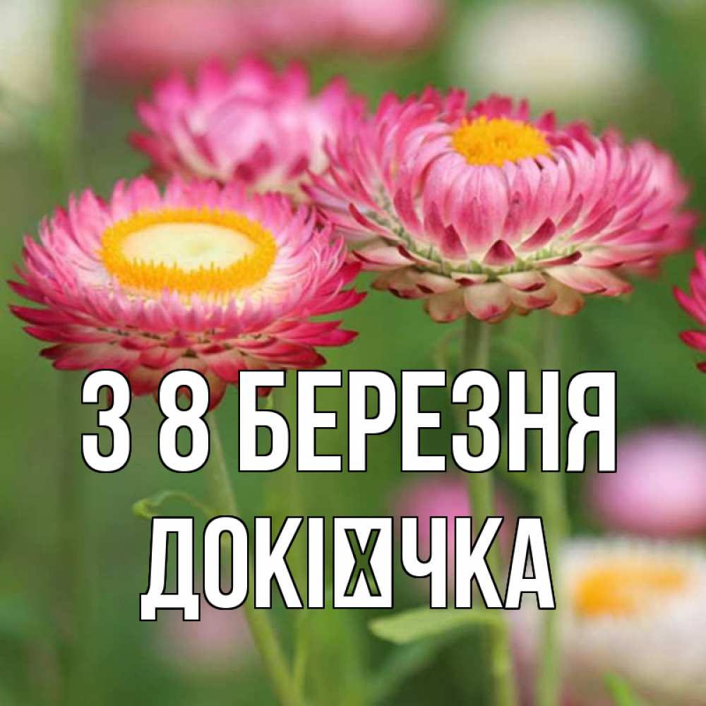 Открытка на каждый день з підписом, Докієчка З 8 БЕРЕЗНЯ подарок на международный женский день Прикольна листівка з побажанням онлайн скачати безкоштовно 