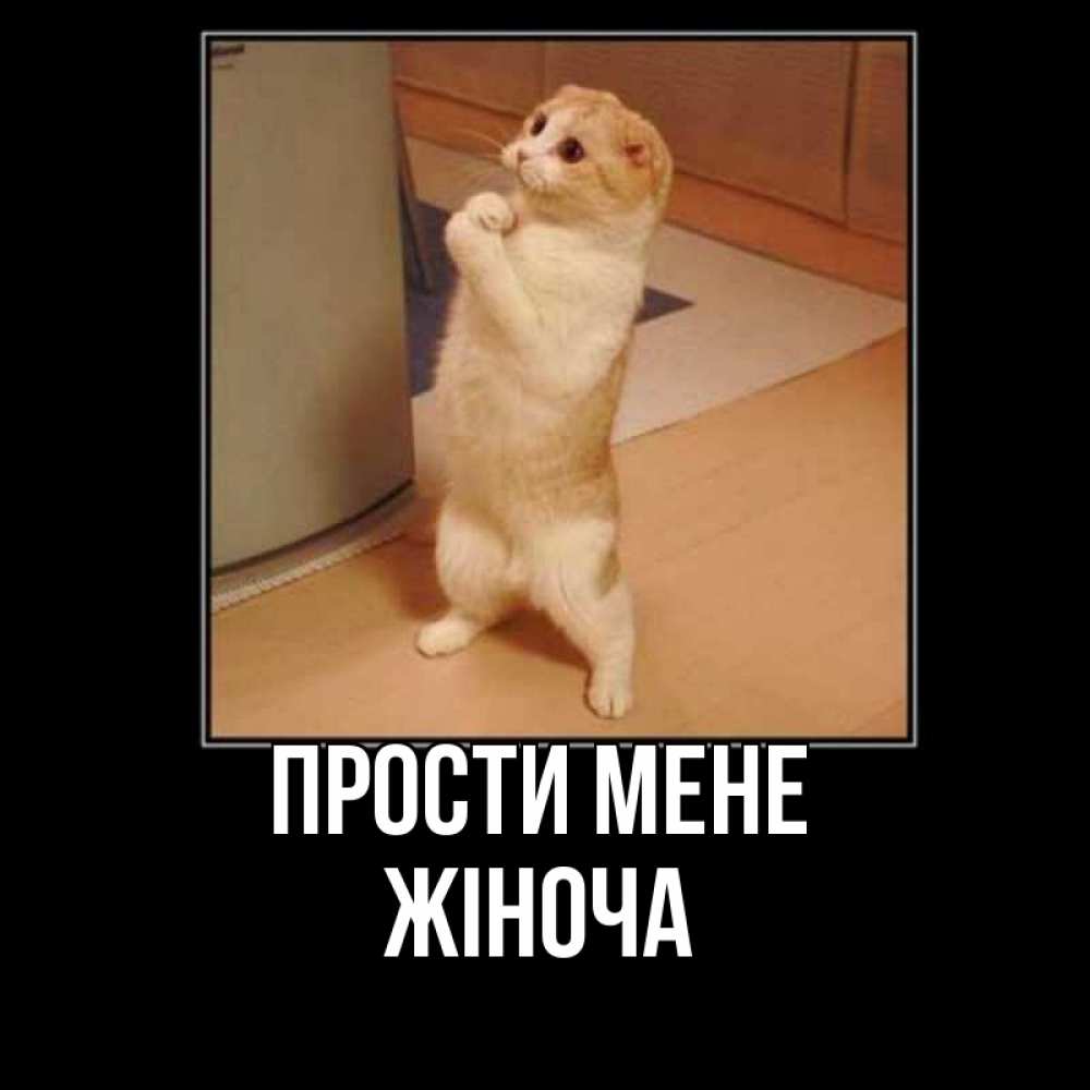 Открытка на каждый день з підписом, Жіноча Прости мене открытка с милым несчастным котиком просящим прощения Прикольна листівка з побажанням онлайн скачати безкоштовно 