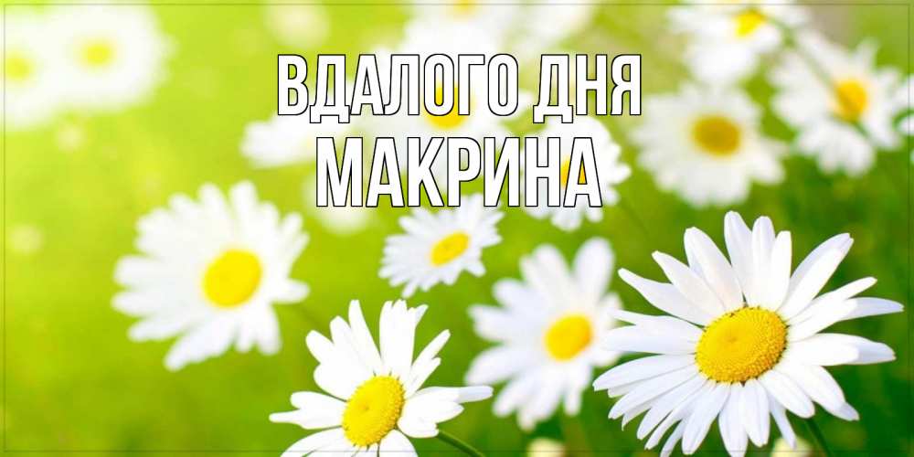 Открытка на каждый день з підписом, Макрина Вдалого дня открытка с ромашками на зеленом фоне Прикольна листівка з побажанням онлайн скачати безкоштовно 