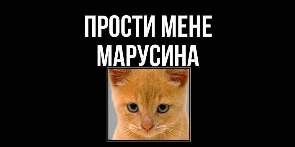 Открытка на каждый день з підписом, Марусина Прости мене рыжий грустный кот просит прощения Прикольна листівка з побажанням онлайн скачати безкоштовно 