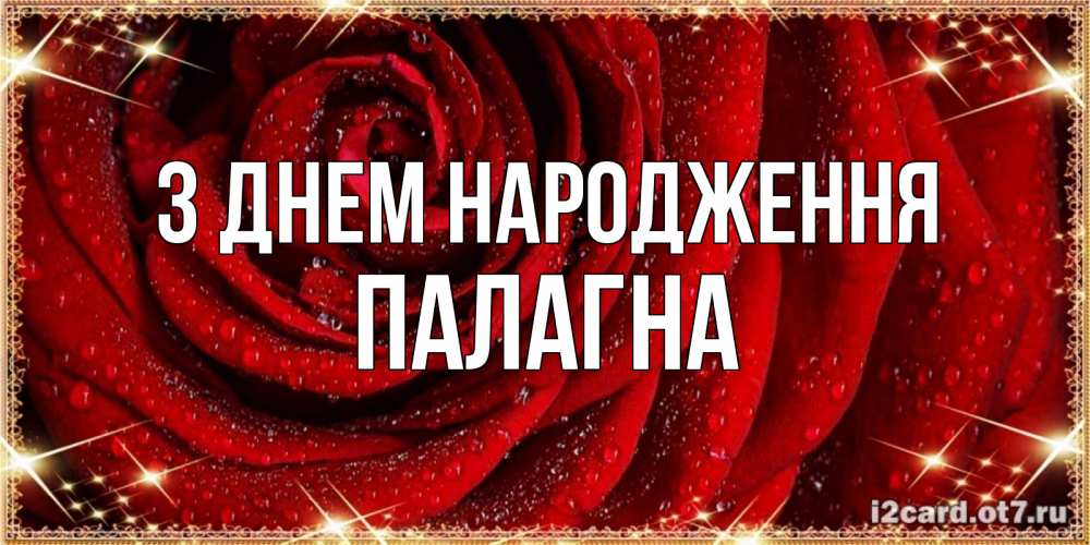 Открытка на каждый день з підписом, Палагна З Днем народження роса на розе блестящая в лучах солнца Прикольна листівка з побажанням онлайн скачати безкоштовно 
