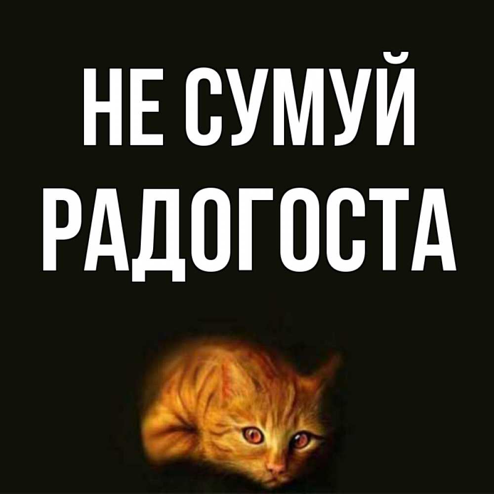 Открытка на каждый день з підписом, Радогоста Не сумуй лежащий кот в темноте Прикольна листівка з побажанням онлайн скачати безкоштовно 